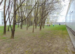 ukliďme Česko 2015